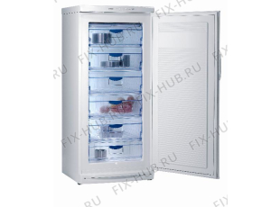 Холодильник Gorenje F7248W (274386, ZODS2436) - Фото